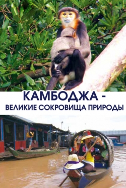 Камбоджа — великие сокровища природы