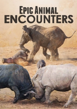 Epic Animal Encounters